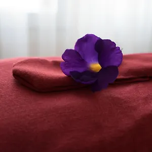 East West Villa Hoi An